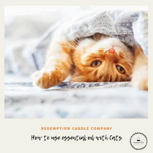 How to Use Essential Oils Safely with your Cats
