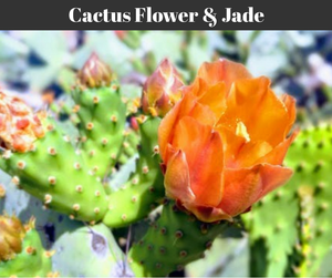 Cactus Flower & Jade