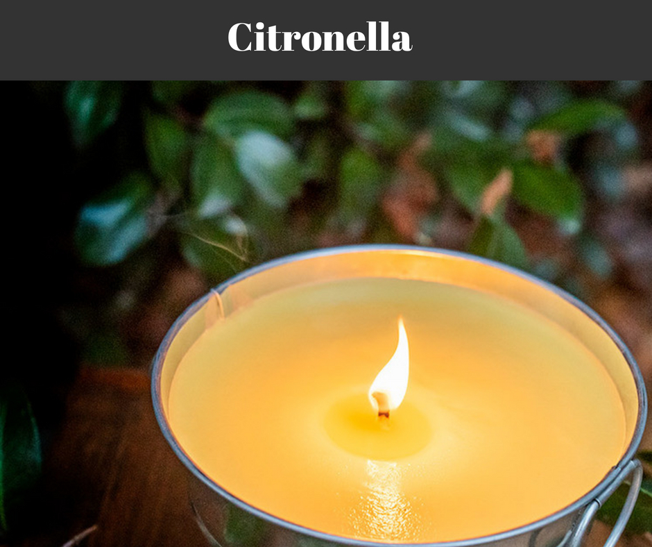 Citronella