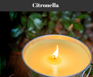Citronella