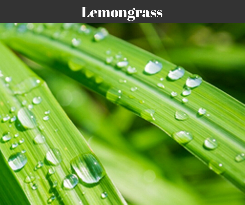 Lemongrass