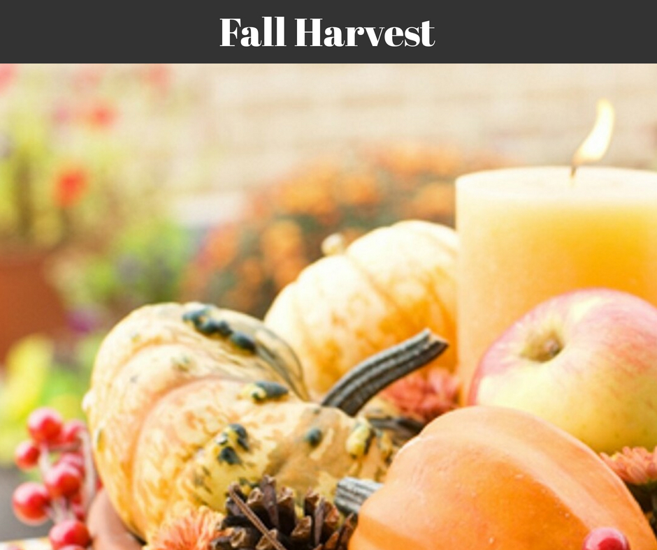 Fall Harvest
